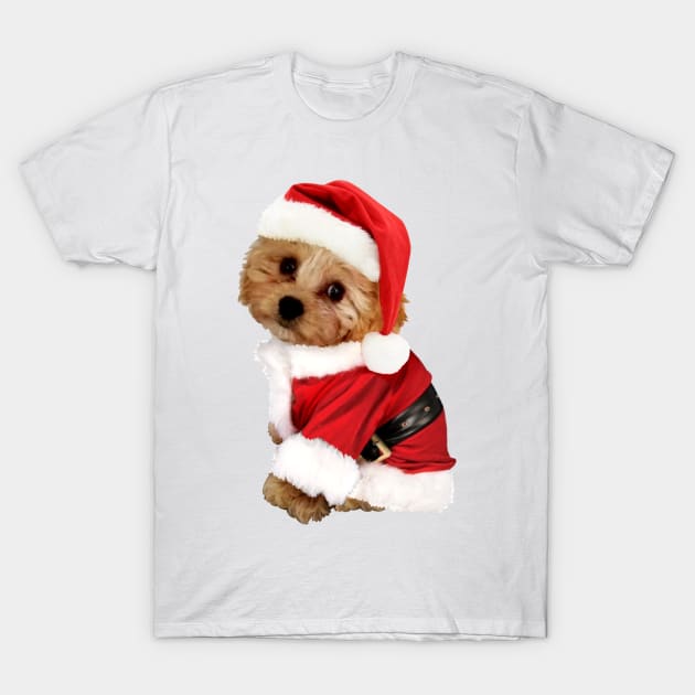 Christmas Cavachon T-Shirt by Twkirky